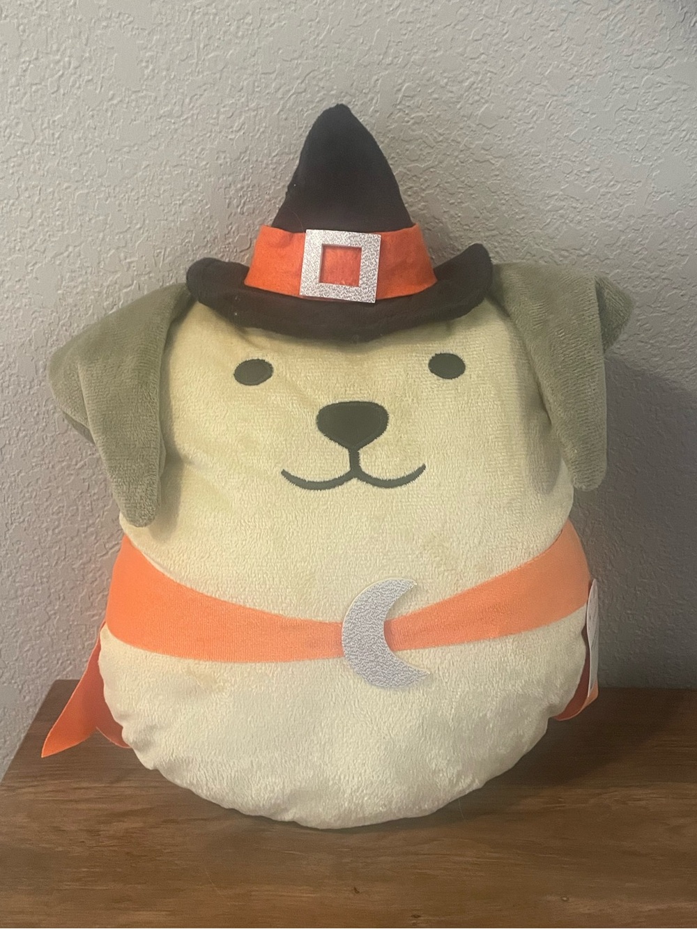 Halloween dog pillow